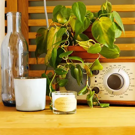 La Vie En Roos Bed & Breakfast Amsterdam